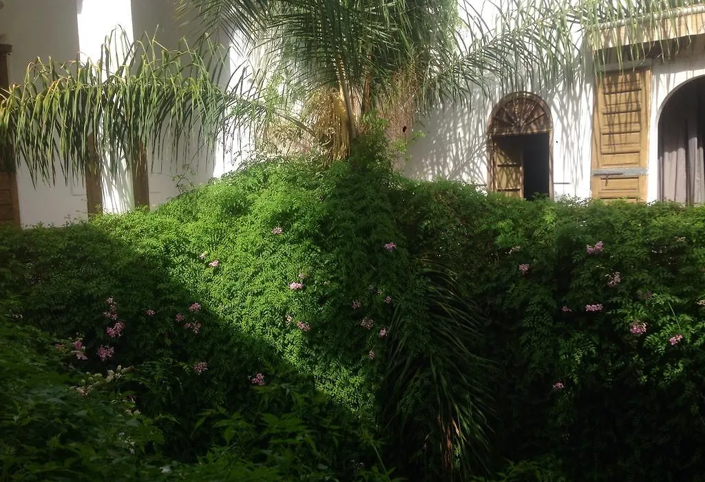 Riad Al Assala-1