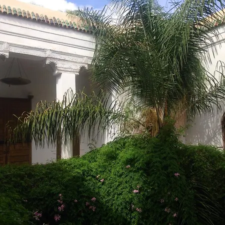 Riad Al Assala-2